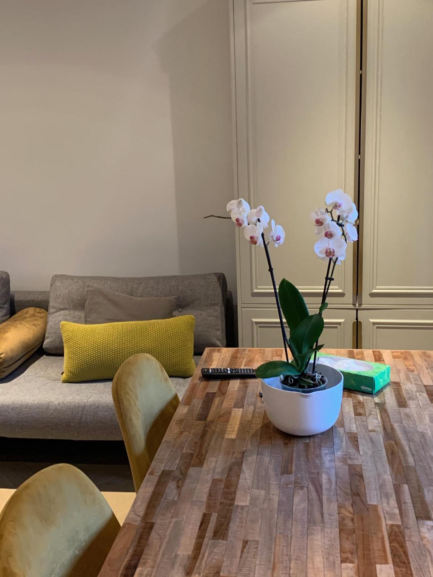 B&B Florapark Haarlem Eksteriør billede